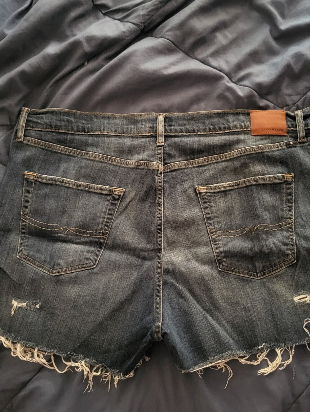 Lucky Brand Dark Blue Distressed Shorts~Size 20. - Picture 3 of 9